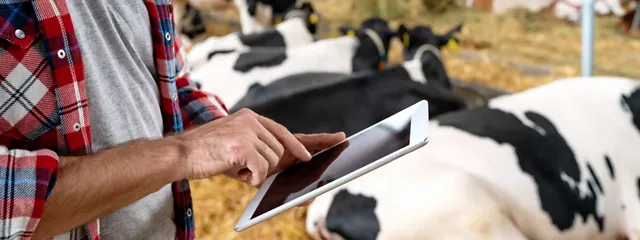 News & Media Mann mit Tablet im Kuhstall News & Media Mann mit Tablet im Kuhstall