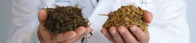 de_hws_silierung de_hws_silierung