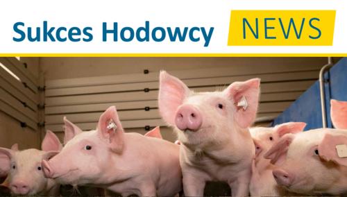 SHNTRZODA_rdax_500x284_75 SHNTRZODA_rdax_500x284_75