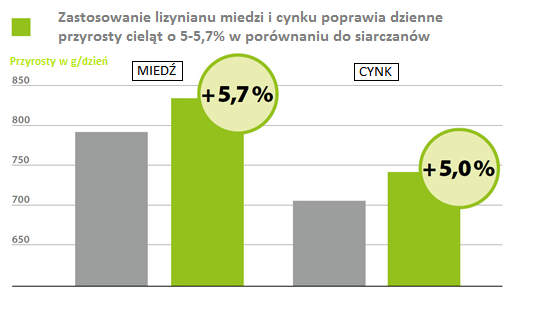 AMINOTRACE u bydła AMINOTRACE u bydła