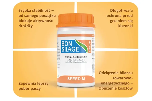 Kiszonka z kukurydzy Kiszonka z kukurydzy