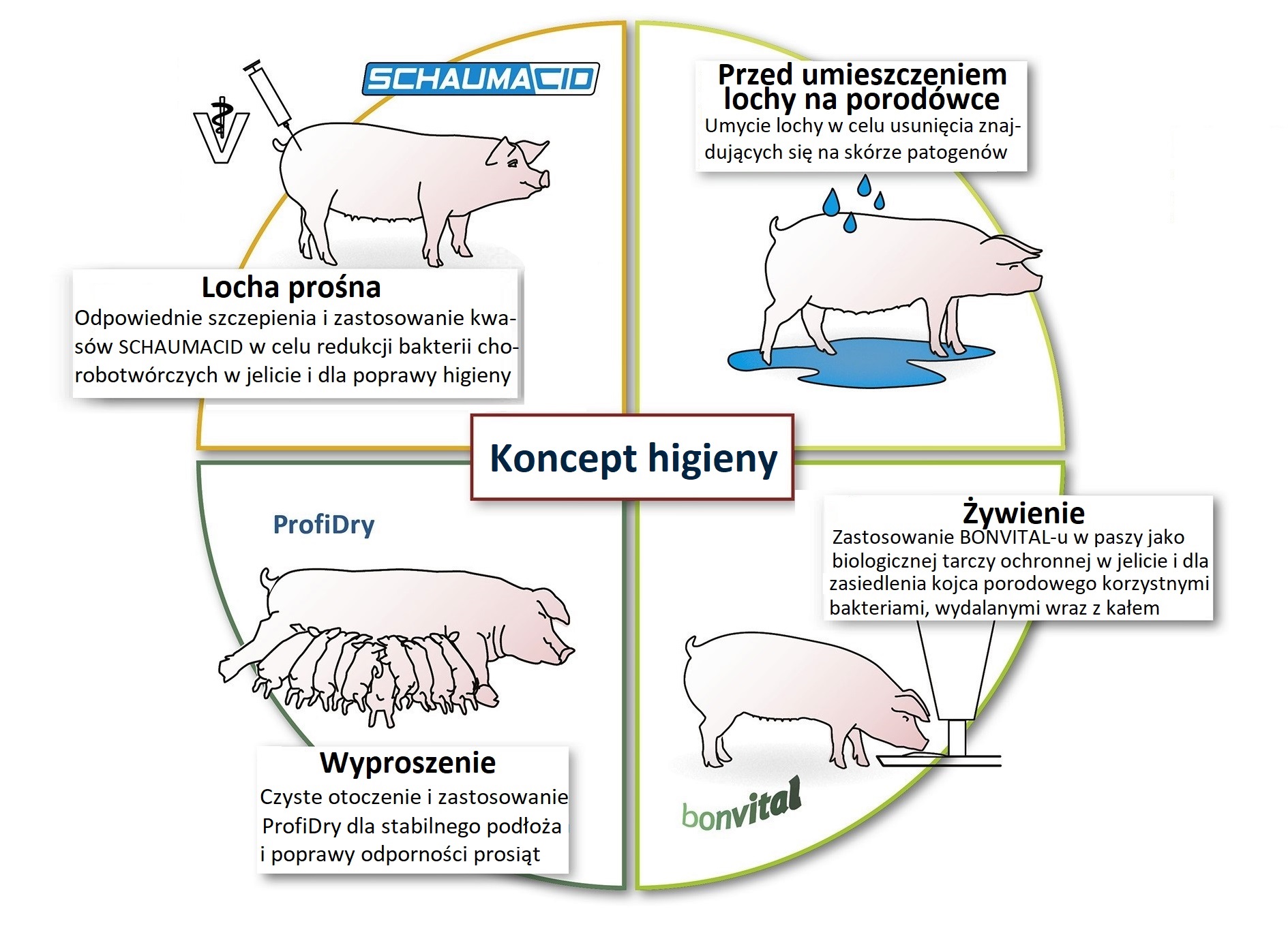 Koncept higieny Koncept higieny