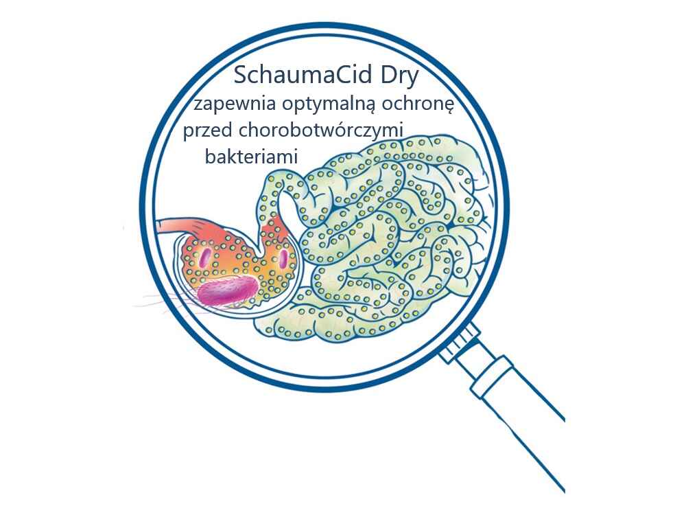 Działanie SCHAUMACID DRY w jelicie Działanie SCHAUMACID DRY w jelicie