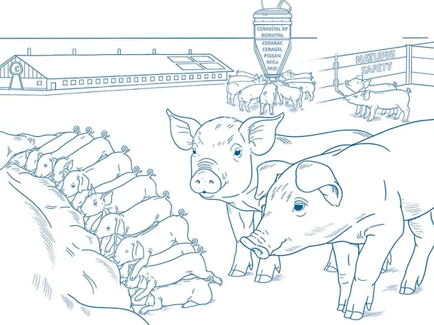 Odchów prosiąt z konceptem SCHAUMANN-a Odchów prosiąt z konceptem SCHAUMANN-a