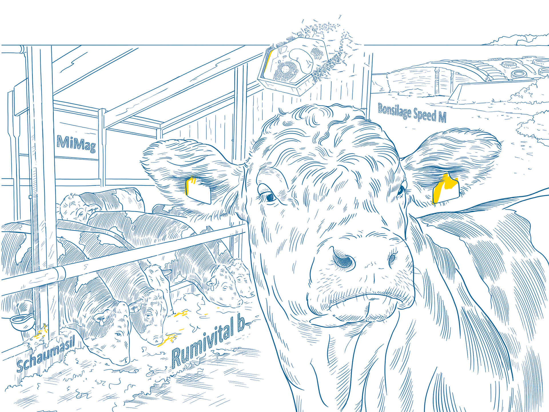 Produkte von SCHAUMANN für Bulllen Produkte von SCHAUMANN für Bulllen