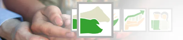 de_fot_54706135_haende_nachhaltigkeit_icons_tierwohl_3000x710px de_fot_54706135_haende_nachhaltigkeit_icons_tierwohl_3000x710px